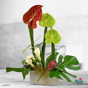 flori-aranjament-floral-cu-anthurium-si-cale-33419.jpeg