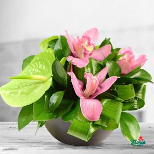 flori-aranjament-floral-cu-anthurium-si-orhidee-33417.jpeg