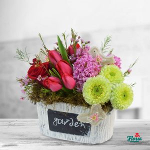flori-aranjament-floral-gradinita-cu-flori-33399.jpeg