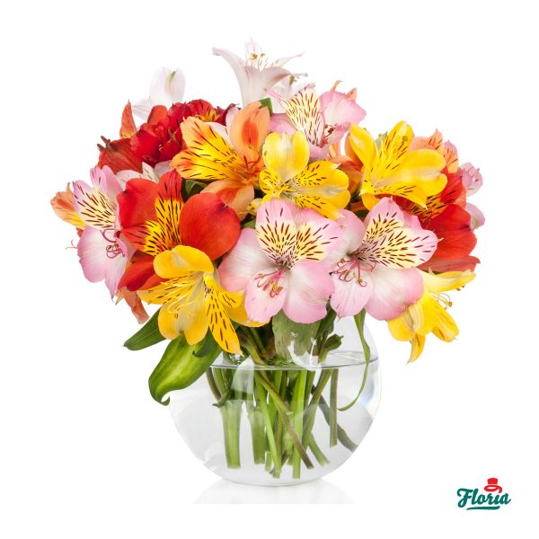 flori-buchet-cu-alstroemeria-33482.jpeg