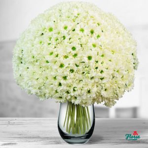 flori-buchet-de-101-crizanteme-albe-32683.jpeg