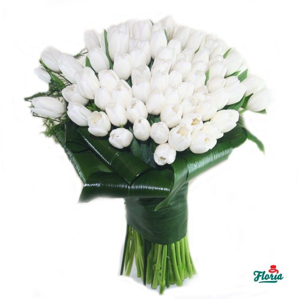 flori-buchet-de-101-lalele-albe-1932.jpeg