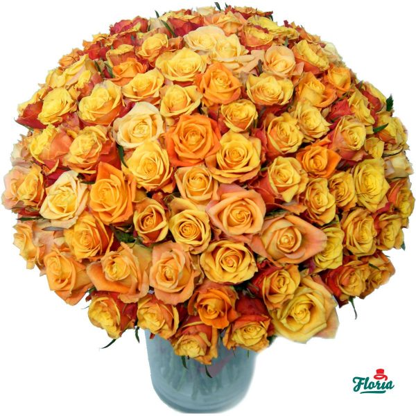 flori-buchet-de-101-trandafiri-portocalii-2571.jpeg