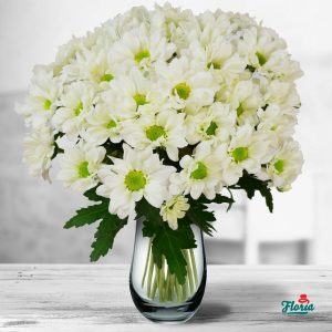 flori-buchet-de-11-crizanteme-albe-32750.jpeg