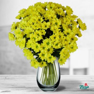 flori-buchet-de-11-crizanteme-galbene-32628.jpeg