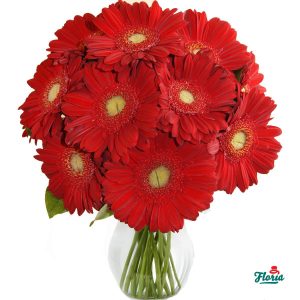 flori-buchet-de-11-gerbera-rosii-2576.jpeg