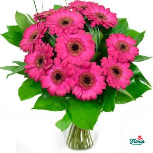 flori-buchet-de-11-gerbera-roz-2648.jpeg