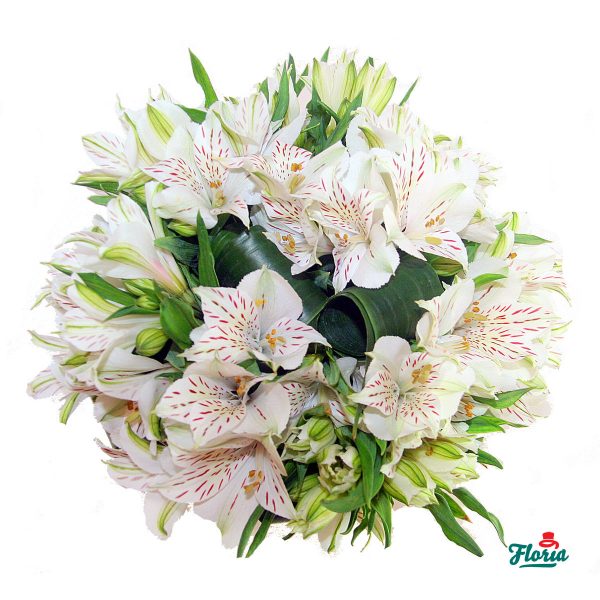 flori-buchet-de-13-alstroemeria-albe-778.jpeg