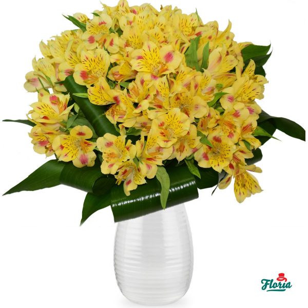 flori-buchet-de-13-alstroemeria-galbene-28830.jpeg