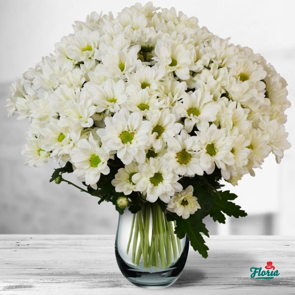 flori-buchet-de-15-crizanteme-albe-32649.jpeg