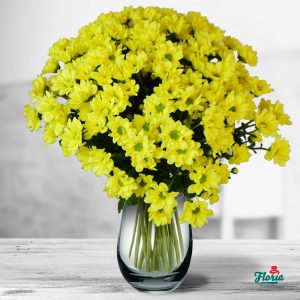 flori-buchet-de-15-crizanteme-galbene-32629.jpeg