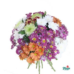 flori-buchet-de-15-crizanteme-multicolore-1055.jpeg