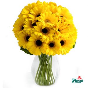 flori-buchet-de-15-gerbera-galbene-28535.jpeg