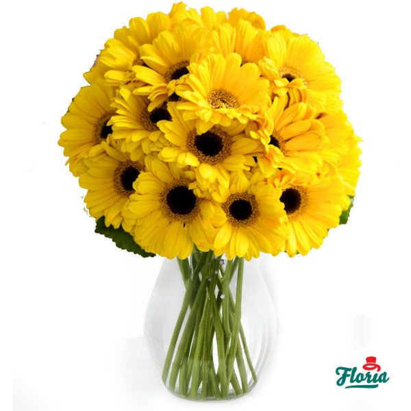 flori-buchet-de-15-gerbera-galbene-28535.jpeg