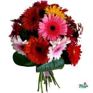 flori-buchet-de-15-gerbera-multicolore-835.jpeg