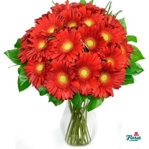 flori-buchet-de-15-gerbera-rosii-2640.jpeg