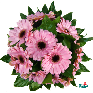 flori-buchet-de-15-gerbera-roz-30610.png