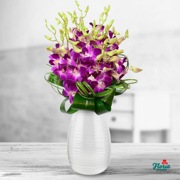 flori-buchet-de-15-orhidee-dendrobium-mov-33639.jpeg