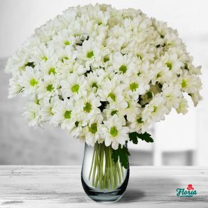 flori-buchet-de-17-crizanteme-albe-32661.jpeg