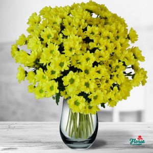 flori-buchet-de-17-crizanteme-galbene-32630.jpeg