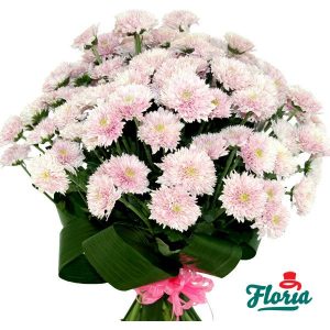 flori-buchet-de-17-crizanteme-roz-361.jpeg
