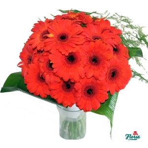 flori-buchet-de-17-gerbera-rosii-2139.jpeg
