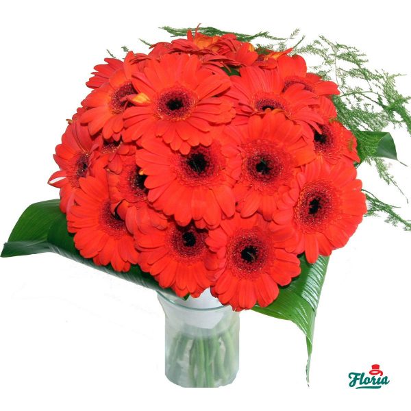 flori-buchet-de-17-gerbera-rosii-2139.jpeg