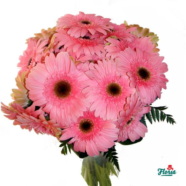 flori-buchet-de-17-gerbera-roz-736.jpeg