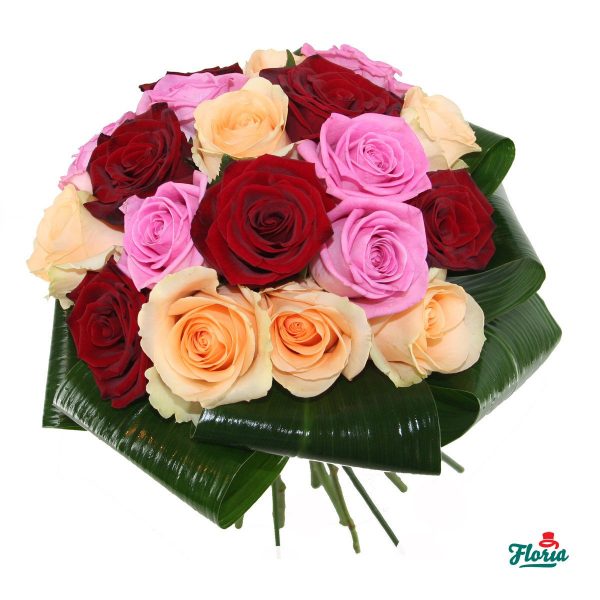 flori-buchet-de-17-trandafiri-multicolori-2179.jpeg