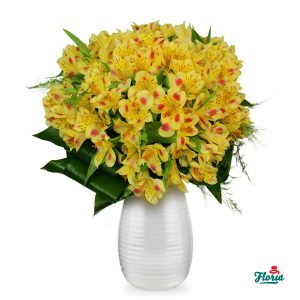 flori-buchet-de-19-alstroemeria-galbene-28858.jpeg