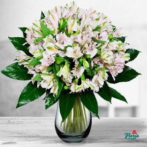flori-buchet-de-19-alstroemeria-roz-32898.jpeg