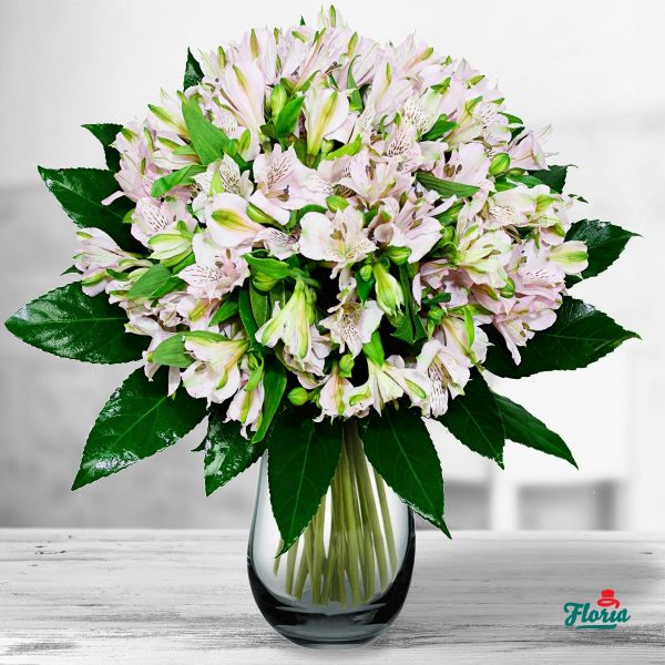 flori-buchet-de-19-alstroemeria-roz-32898.jpeg