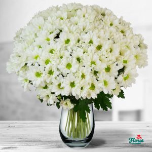 flori-buchet-de-19-crizanteme-albe-32663.jpeg