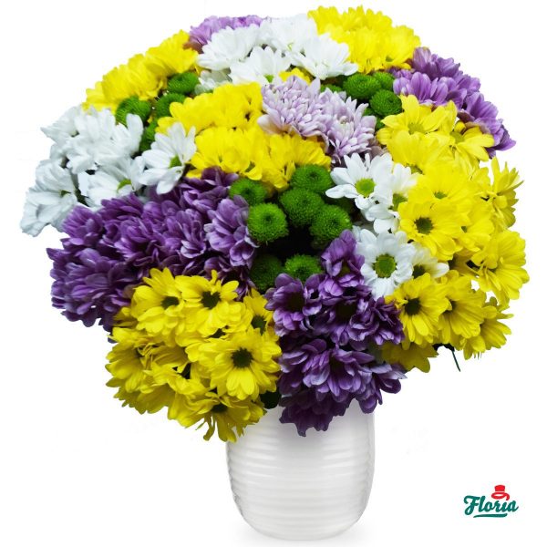 flori-buchet-de-19-crizanteme-multicolore-29550.jpeg