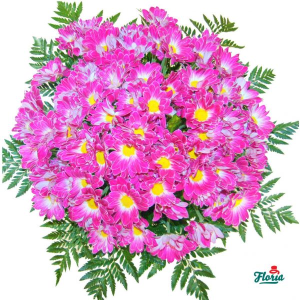 flori-buchet-de-19-crizanteme-roz-2097.jpeg