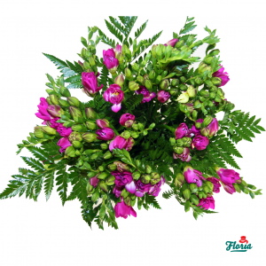 flori-buchet-de-19-frezii-mov-2076.png