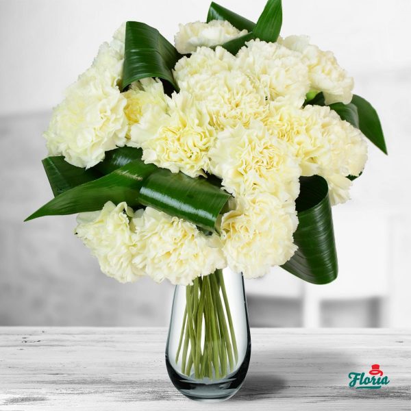 flori-buchet-de-19-garoafe-albe-32655.jpeg