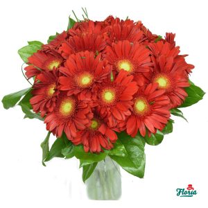 flori-buchet-de-19-gerbera-rosii-2641.jpeg