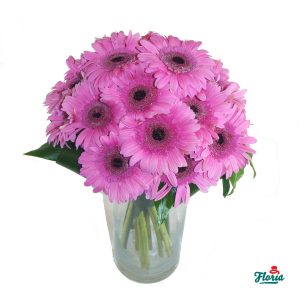 flori-buchet-de-19-gerbera-roz-2071.jpeg