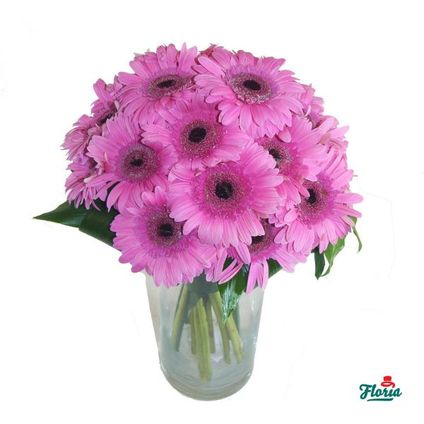 flori-buchet-de-19-gerbera-roz-2071.jpeg