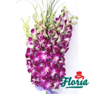 flori-buchet-de-19-orhidee-dendrobium-mov-345.jpeg