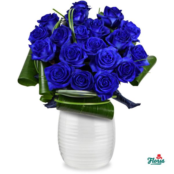 flori-buchet-de-19-trandafiri-albastri-30221.jpeg