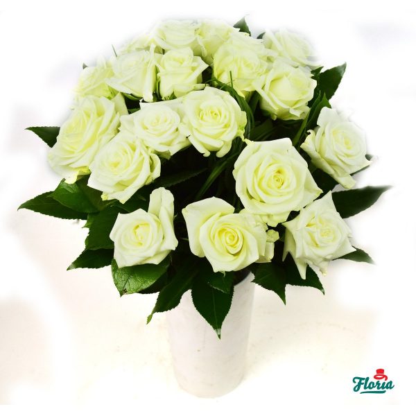 flori-buchet-de-19-trandafiri-albi-28622.jpeg
