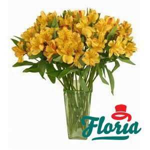 flori-buchet-de-21-alstroemeria-galbene-527.jpeg