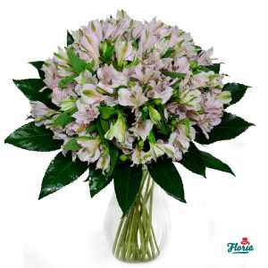 flori-buchet-de-21-alstroemeria-roz-28548.jpeg
