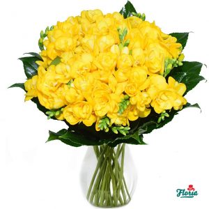 flori-buchet-de-21-frezii-galbene-2595.jpeg