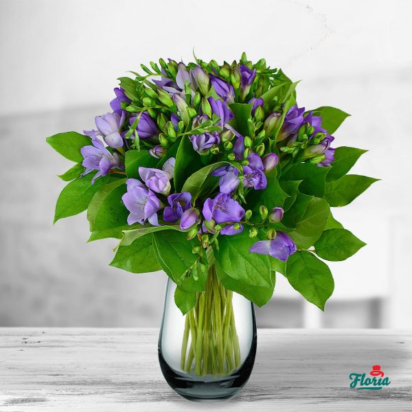 flori-buchet-de-21-frezii-mov-32995.jpeg