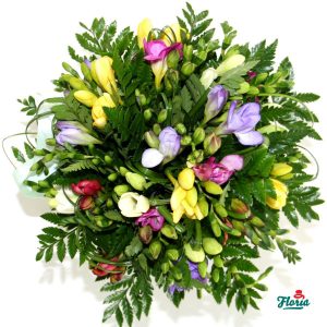 flori-buchet-de-21-frezii-multicolore-357.jpeg