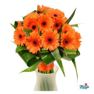 flori-buchet-de-21-gerbera-portocalii-30598.png