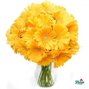 flori-buchet-de-21-gerbere-galbene-28533.jpeg